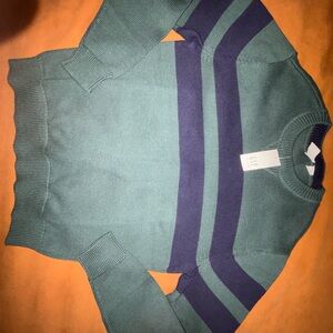 GAP Boys Green and Navy Striped Sweater